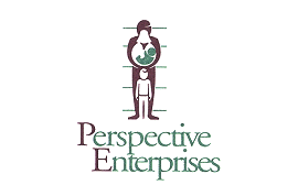Perspective Enterprises, Inc.